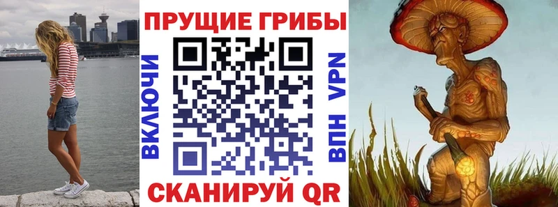 Галлюциногенные грибы Magic Shrooms  Знаменск 